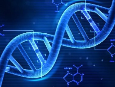 DNA: Ποια είναι η γενετική καταγωγή των συγχρόνων Ελλήνων και των άλλων Βαλκανικών;